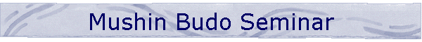 Mushin Budo Seminar