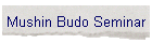 Mushin Budo Seminar