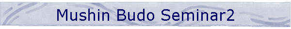 Mushin Budo Seminar2