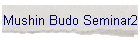 Mushin Budo Seminar2