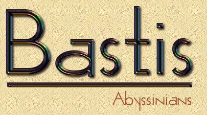 Bastis Abyssinians