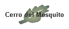 Cerro del Mosquito