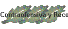Contraofensiva y Recon.