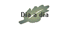Dia a dia