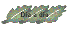 Dia a dia