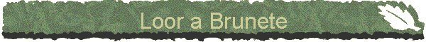 Loor a Brunete