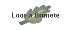 Loor a Brunete