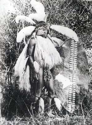 zulu warrier