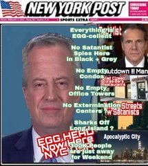 Egg Head Exposd !!! - Bill DeBlasio - NYC Egg-cellent ? :(