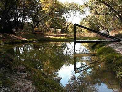 Pond