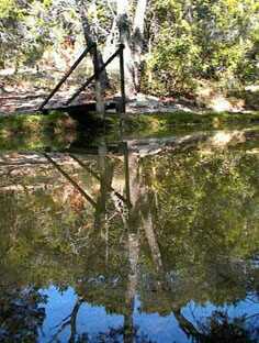 Pond