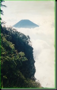 ../Images/SAVE0043_4.jpg