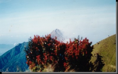 ../Images/SAVE0049_3.jpg