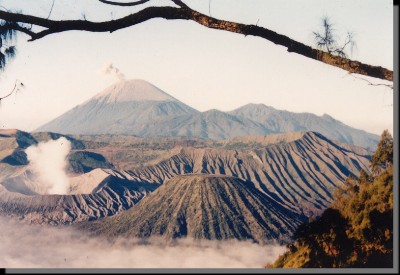../Images/Save0089.jpg
