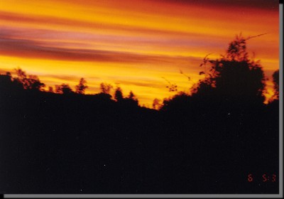 ../Images/Save0137.jpg