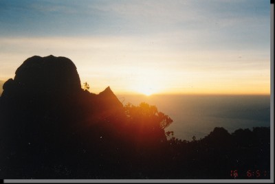../Images/Save0172.jpg