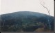 Thumbs/tn_SAVE0013_13.jpg