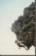 Thumbs/tn_SAVE0029_5.jpg