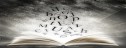 lectura4