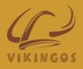 Grupo Musical Los Vikingos