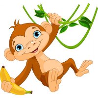 monkey
