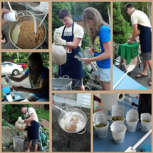 Brewing Picture