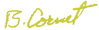 BCORNE~1.GIF (735 bytes)