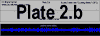 PLATE_11.GIF (743 bytes)