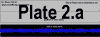 PLATE_2.GIF (685 bytes)