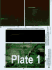 PLATE_~3.GIF (1960 bytes)