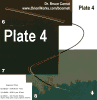 PLATE_~6.GIF (2268 bytes)