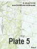 PLATE_~7.GIF (3849 bytes)