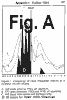 VALLEE~2.GIF (1061 bytes)