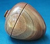 Black Walnut
