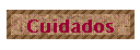 Cuidados