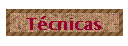 T�cnicas