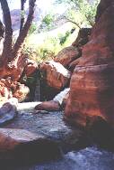 Canyon Stream