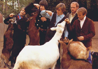 Pet Sounds Cover