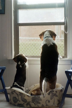 [please wait for me!]