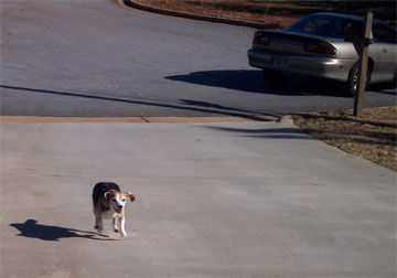 [please wait for me!]