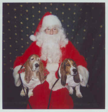 Maggie & Rosie with Santa