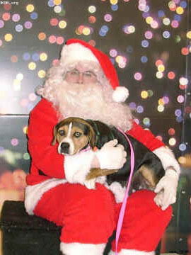 Maggie & Santa