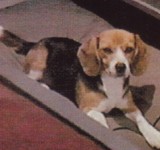  Porthos 