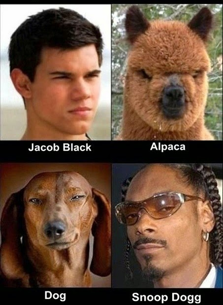 Animal doppelgangers