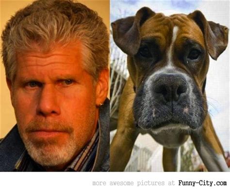 doppelganger2