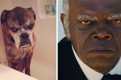 doppelganger4