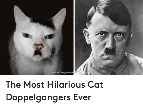 doppelganger5
