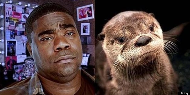 Animal Doppelganger