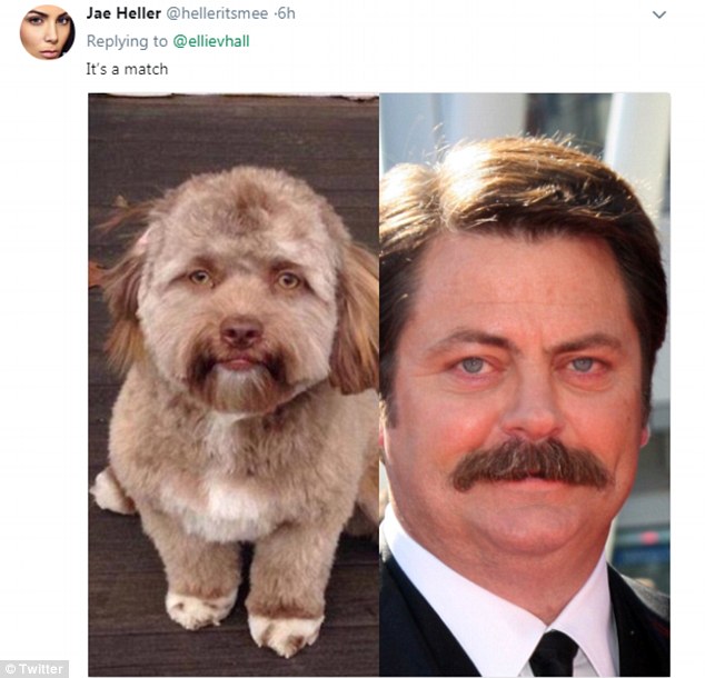 Dog1