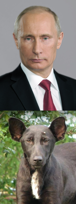 Vladimiar Putin